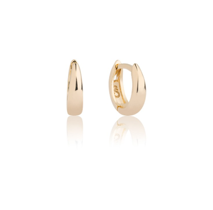 Brincos Argola Banhado em Ouro 18K. 